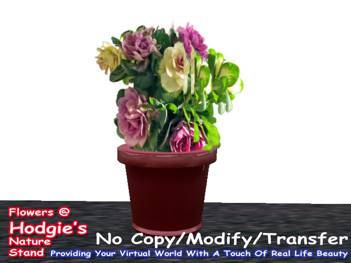 Hodgie's Flowers & Plants  -  Kale (Mixed) In Sculptie Clay Pot (One Prim Sculpty Plant)
