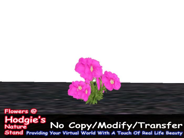 Hodgie's Flowers & Plants  -  Petunia (Bright Pink) (One Prim Plant) (1 prim plant) Sculpty