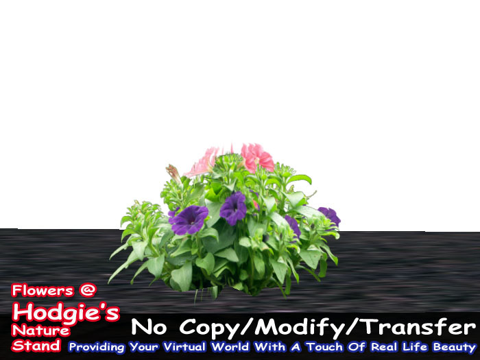Hodgie's Flowers & Plants  -  Petunia (Multi-Colored)(One Prim Plant)(1 prim sculpty)