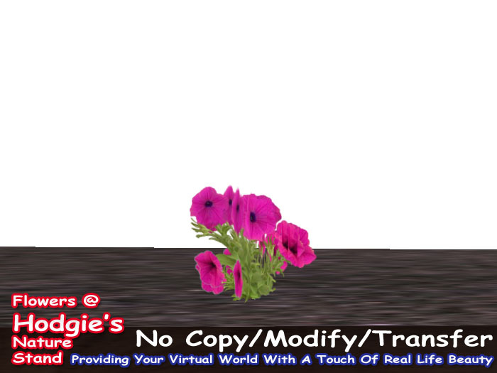 Hodgie's Flowers & Plants  -  Petunia (Wave) Pink (One Prim Plant) (1 Prim plant)Sculpty