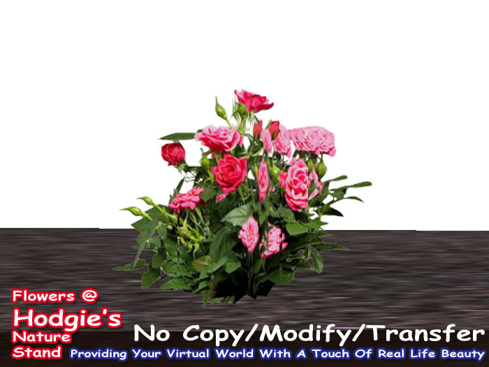 Hodgie's Flowers & Plants  -  Roses (Mixed Pink)(One Prim Plant)(1 prim sculpty)