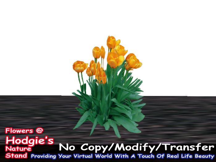 Hodgie's Flowers & Plants  -  Tulips (Fire Orange)(One Prim Sculpty Plant)