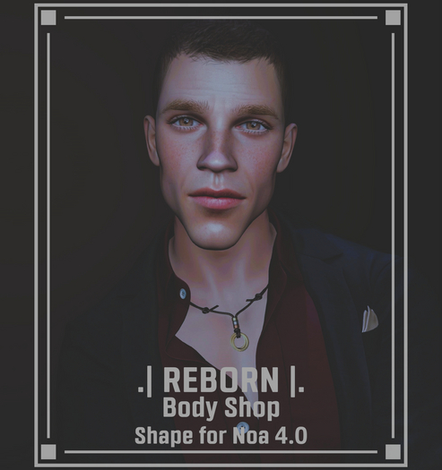 ~ .l REBORN l. Body Shop Shape for NOA 4.0