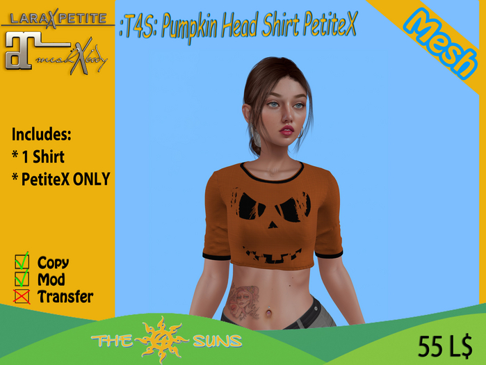 :T4S: Pumpkin Head Shirt PetiteX