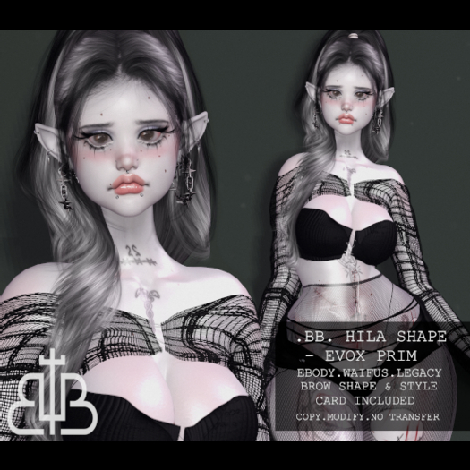 .BB. Hila Shape - EvoX Prim 4.0