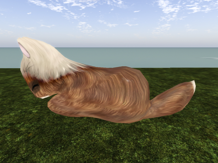 Stray Cats Kitten - Stray Kitty (F)