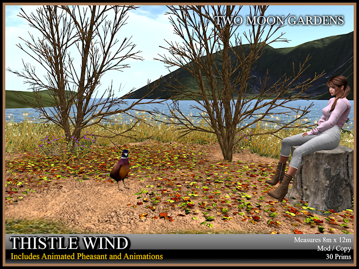 Garden|ThistleWind