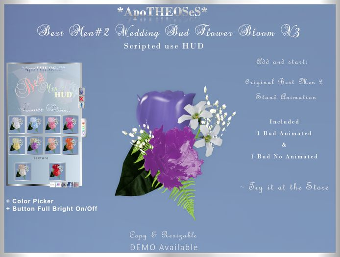 Scripted FatPack Best Men 2 Wedding Flower Bloom Bud V3