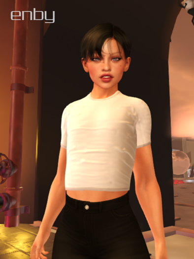 Enby Short T-Shirt with Graphics – LaraX Flat Body, Custom Mesh, Belly Exposure