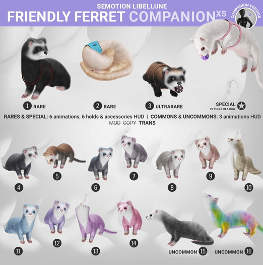 SEmotion Libellune Frendly Ferret XS Companion RARE 01