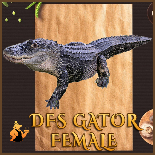 Second Life Marketplace - DFS Gator - Female (Actual Item) 0 - Days Old