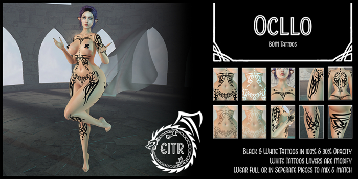 EITR - Ocllo - Demo