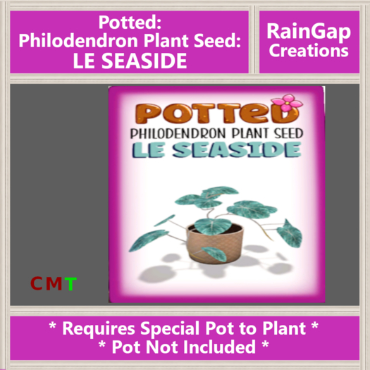 Potted: Philodendron Plant Seed: LE Seaside ACTUAL ITEM