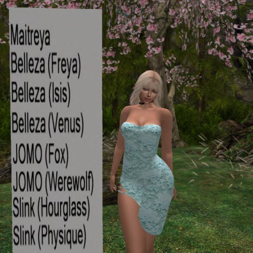 Dress 2-PM 4 