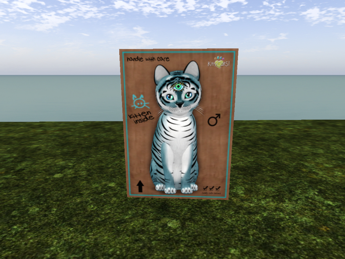 KittyCatS Box - New Born Kitten