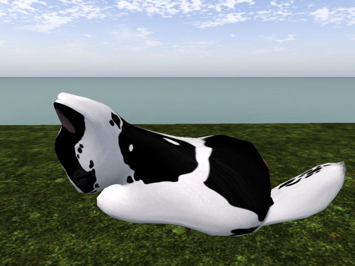 Stray Cats Kitten - Stray Kitty (F)