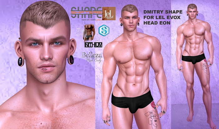 [SHAPEshifters] DMITRY SHAPE FOR LEL EVOX HEAD EON INCL KARIOS 