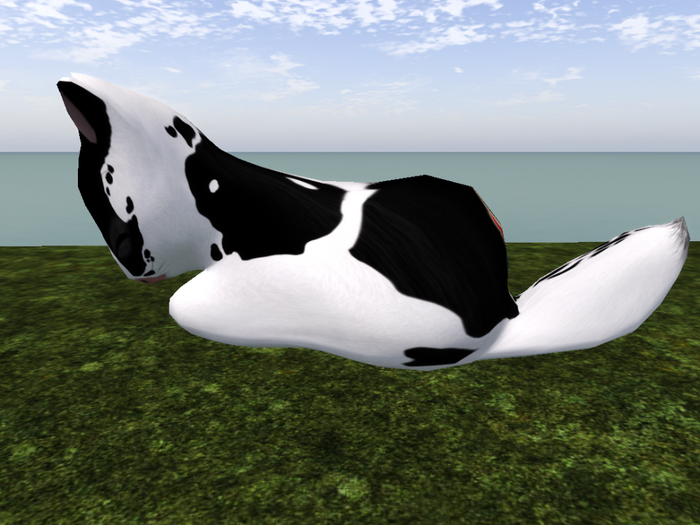 Stray Cats Kitten - Stray Kitty (F)