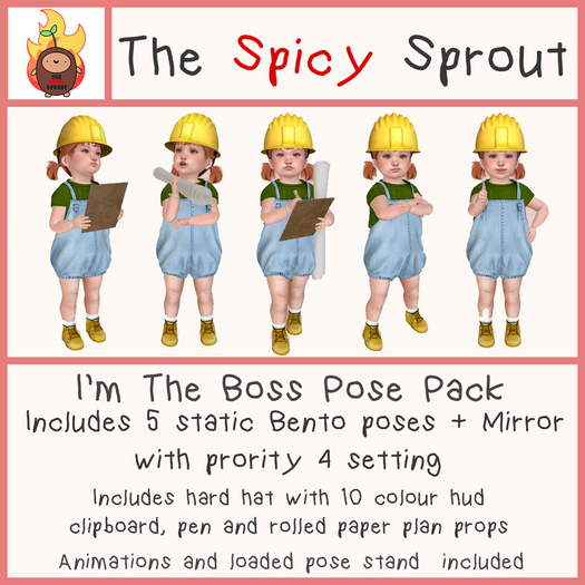 :TSS: I'm The Boss - Pose Pack