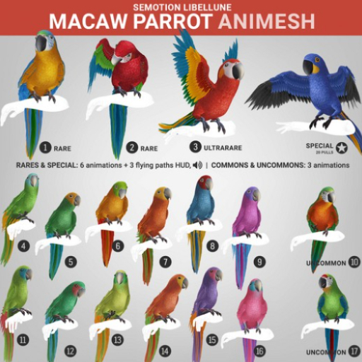 SEmotion Libellune Macaw Parrot Animesh RARE 02