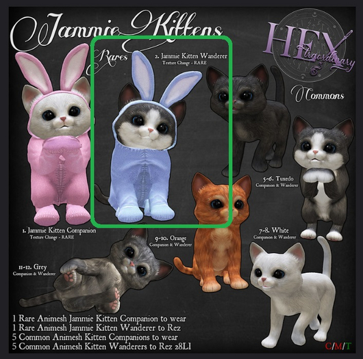 2. HEXtraordinary - Jammie Kitten - Wanderer - RARE