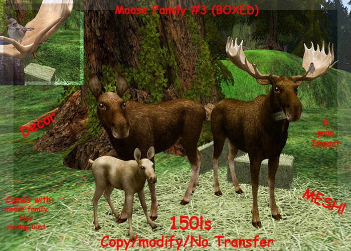 Moose Family #3 (BOXED)