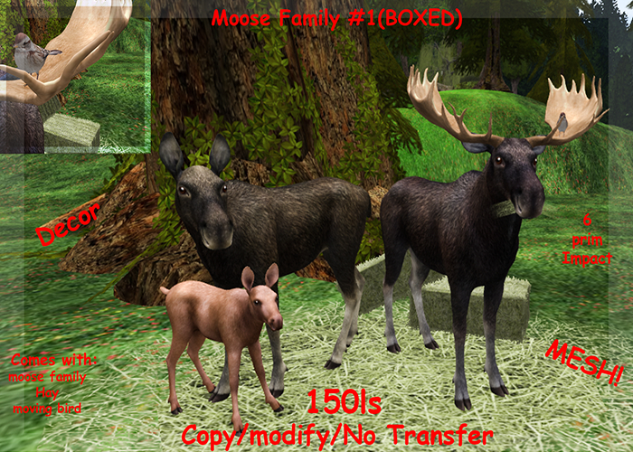 Moose Family #1(BOXED)
