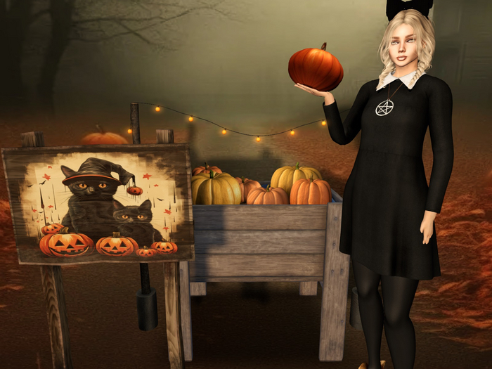:DH: Pumpkin Thrower ~Halloween~