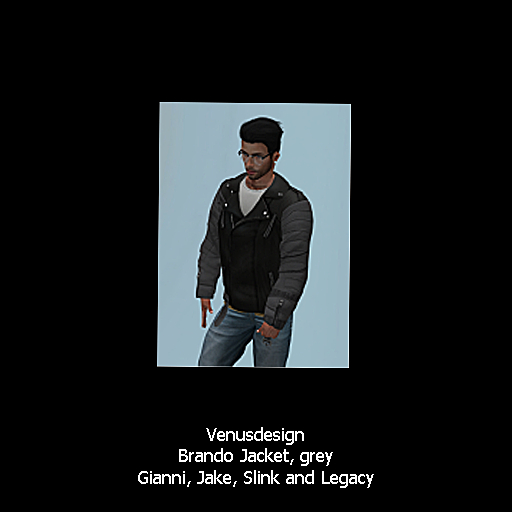 Brandon jacket grey