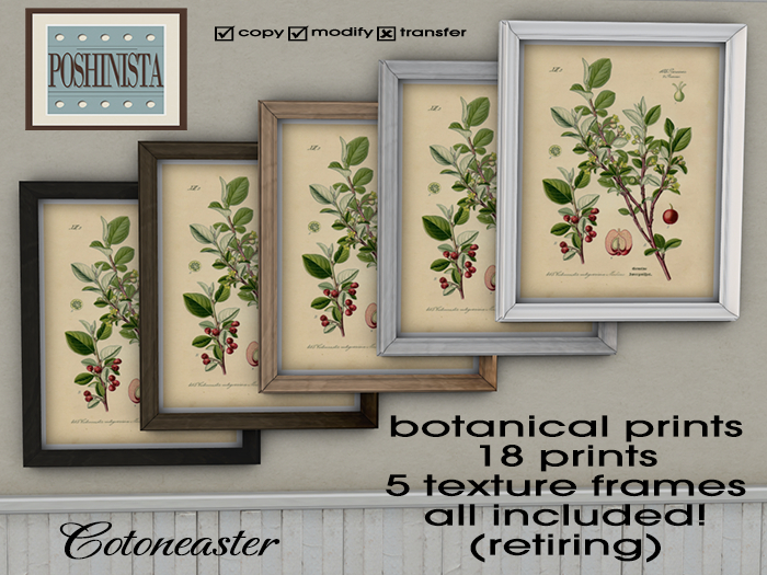 Poshinista Botanical Prints - ALL STYLES/FRAMES ✦Item Retiring Sale!✦