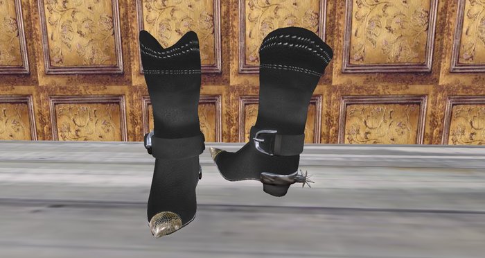 Western Boots blk w/resizer