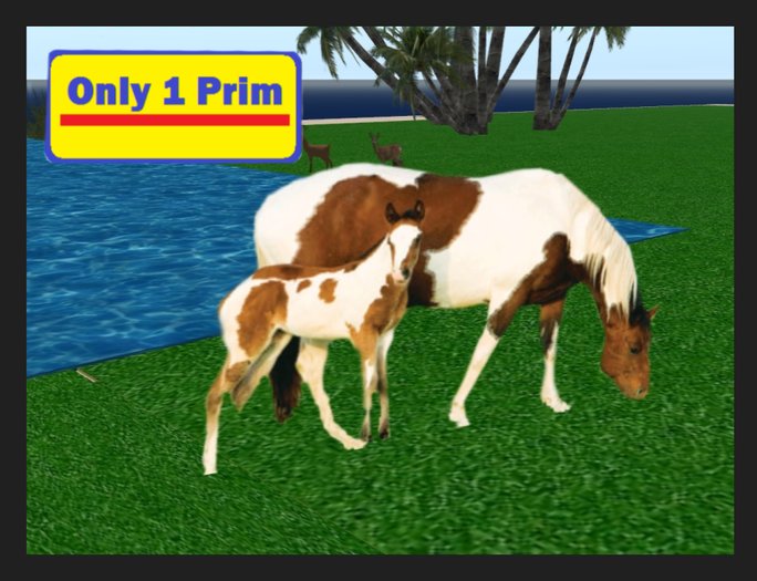 Pinto Mare and Colt /  Only 1 Prim !