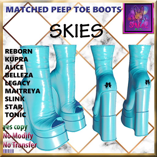 MATCHED BOOT SKIES