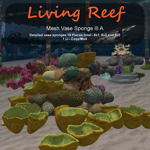 Inochi Reef - Vase Sponge III A