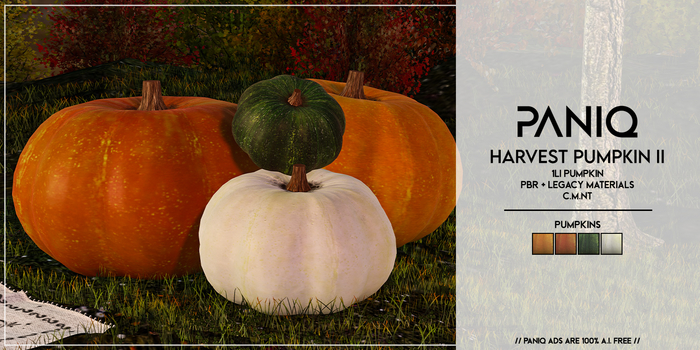 PANIQ - Harvest Pumpkin II