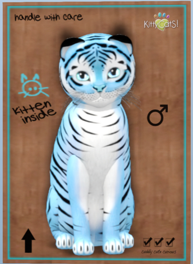 KittyCatS Box - Tiger! - Powder Blue