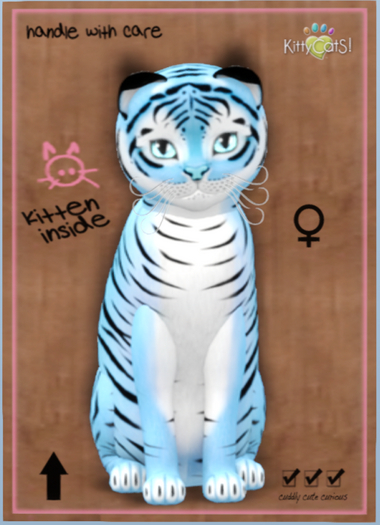 KittyCatS Box - Tiger! - Powder Blue
