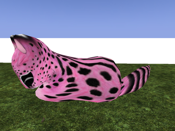 Stray Cats Kitten - Stray Kitty (M)