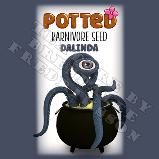Potted: Karnivore Plant Seed: Dalinda (ACTUAL PLANT SEED)