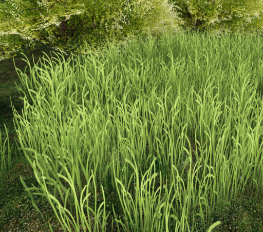 Grass 1 - Summer Grass