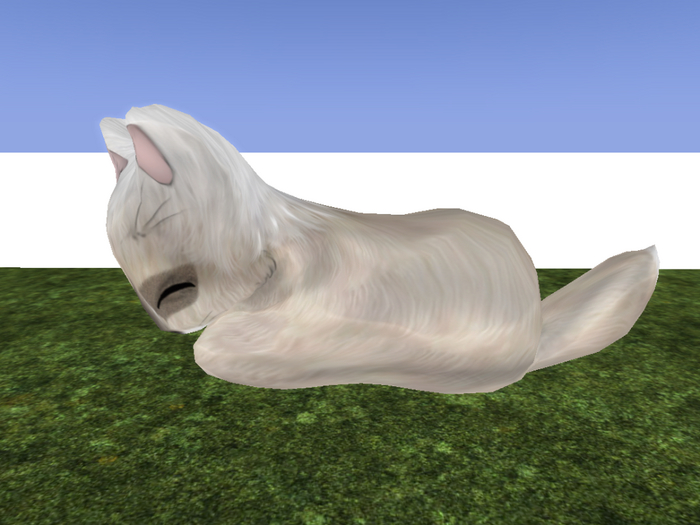 Stray Cats Kitten - Stray Kitty (M)