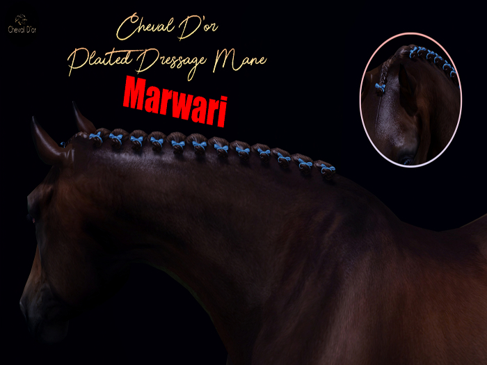 Cheval D'or / TeeglePet Marwari / Plaited Dressage Mane. [HUD]