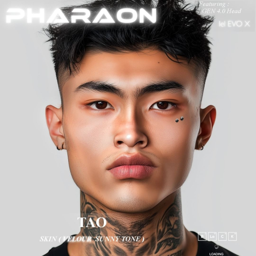 PHARAON - TAO  / Skin EvoX