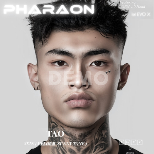 PHARAON - TAO  / DEMO