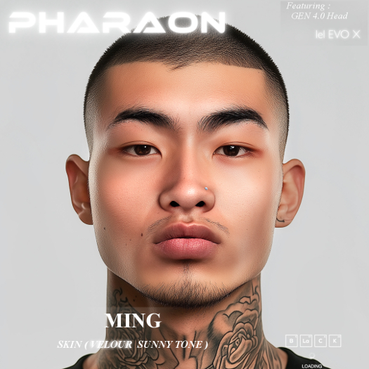 PHARAON - MING  / Skin EvoX