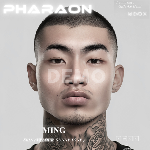PHARAON - MING  / DEMO