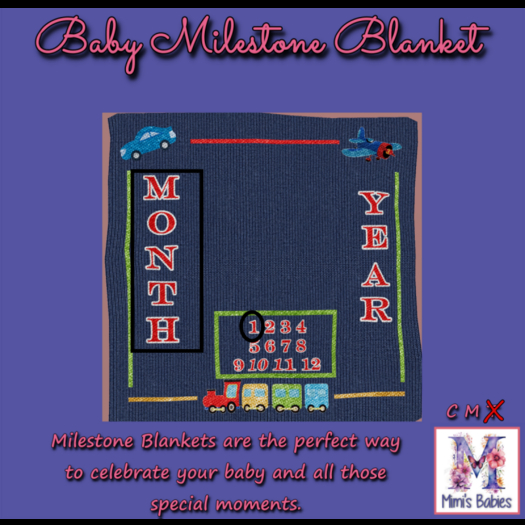 {M} Vroom  Milestone Blanket 