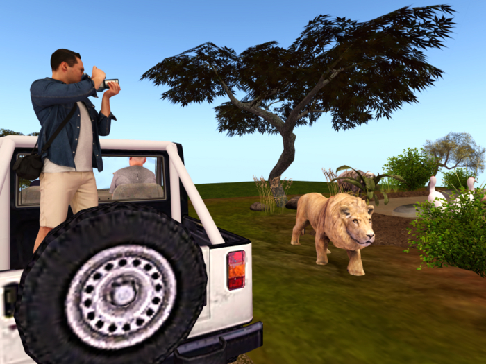 Safari Africa - The Watering Hole
