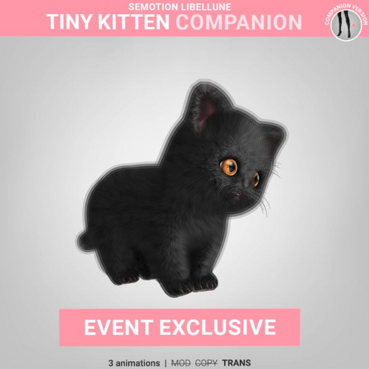 SEmotion Libellune Tiny Kitten Companion EXCLUSIVE