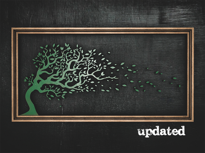 WindyTree Art
